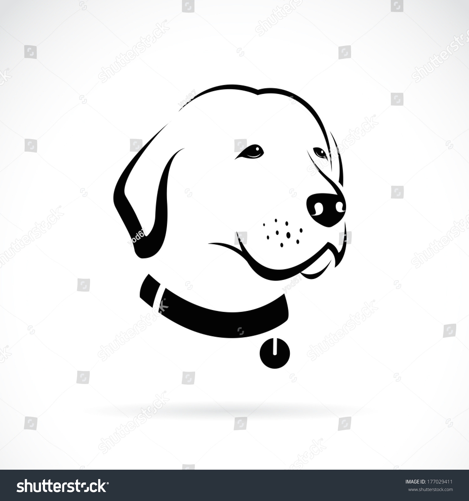 Drawing Dog Skull Vector Image Labrador Dogs Head On Stock Vector Royalty Free