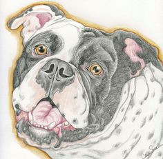 Drawing Dog Tags 609 Best Dogs Images On Pinterest In 2019 original Art Dog Art
