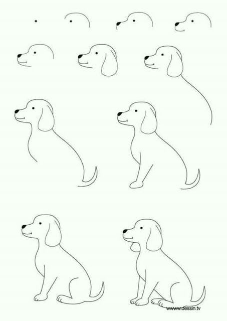 Drawing Dog Tips Ca Mo Dibujar Gatos Y Perros El Ca Mo De Las Cosas Drawing