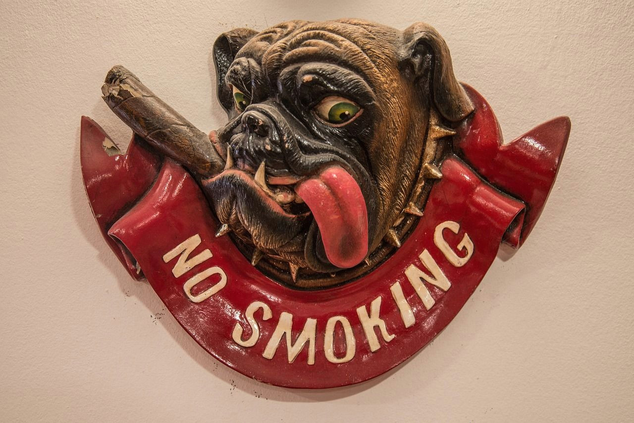 Drawing Dog Training No Smoking Bulldog Sign Cigar Funny Drawing Dog World