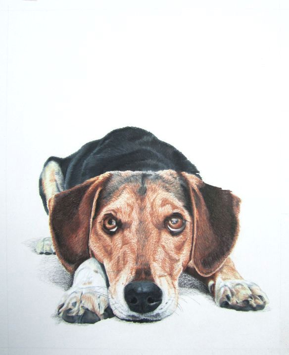 Drawing Dog Tree Colored Pencil Drawing by Lauren Heimbaugh Colored Pencil Drawings