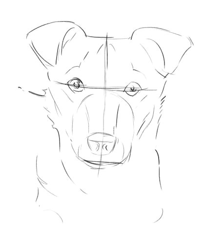 Drawing Dog Using Shapes How to Draw A Dog From A Photograph