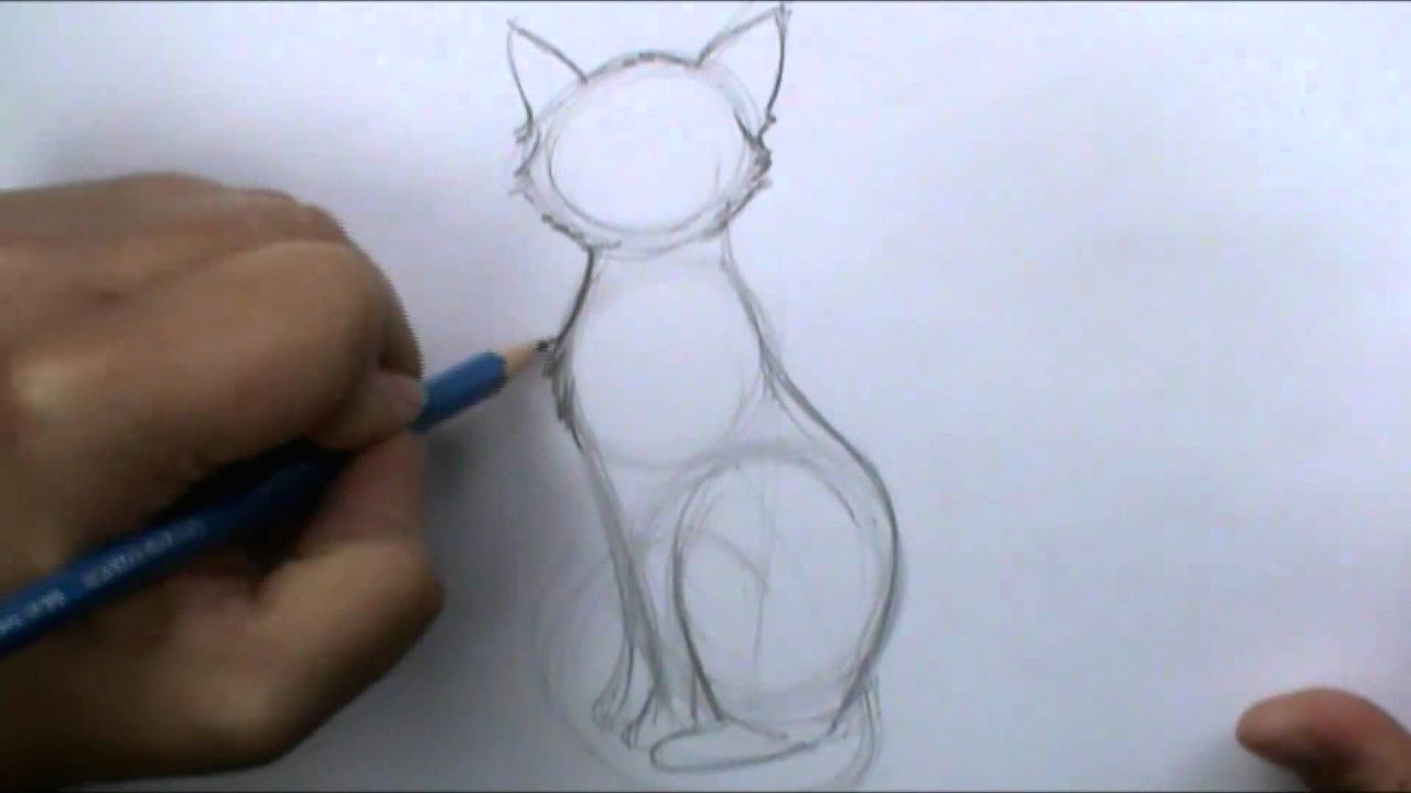 Drawing Dogs and Cats How to Draw A Basic Cat Sitting Youtube