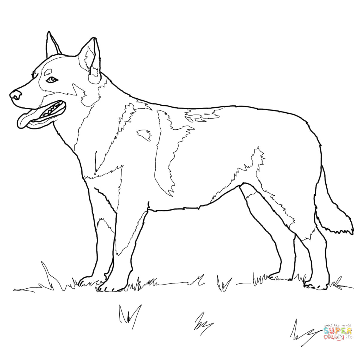 Drawing Dogs and Cats Printable Coloring Sheets Of Cats Unique Scarce Dog Printable
