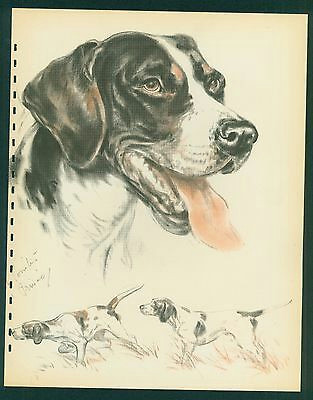 Drawing Dogs by Diana Thorne 1944 Vintage Pointer Dog Print Pet Art Gallery Wall Art Artist
