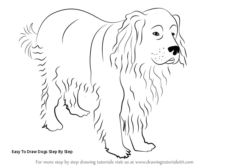 Drawing Dogs by Steps Easy to Draw Dogs Step by Step May Od Petkovica Prslide Com