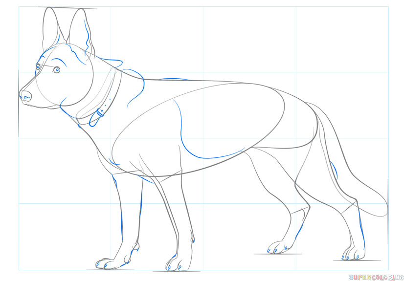 Drawing Dogs by Steps How to Draw A German Shepherd Dog Step by Step Drawing Tutorials