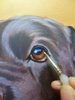 Drawing Dogs Eyes How to Paint Dog Acrylics Step 4 Art and Imagery In 2018
