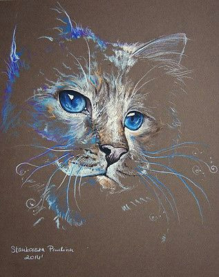 Drawing Dogs Eyes In Pastel Magic Cat Pastel Feline Cats original Cat Painting 10 Drawing