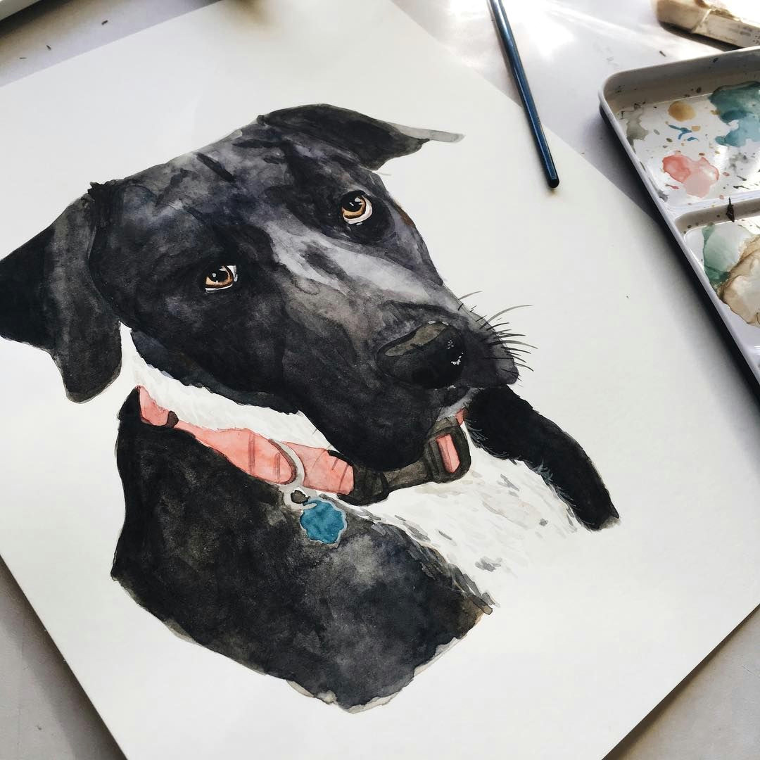 Drawing Dogs Eyes Julie K Hansard On Instagram Those Puppy Dog Eyes Eyes are