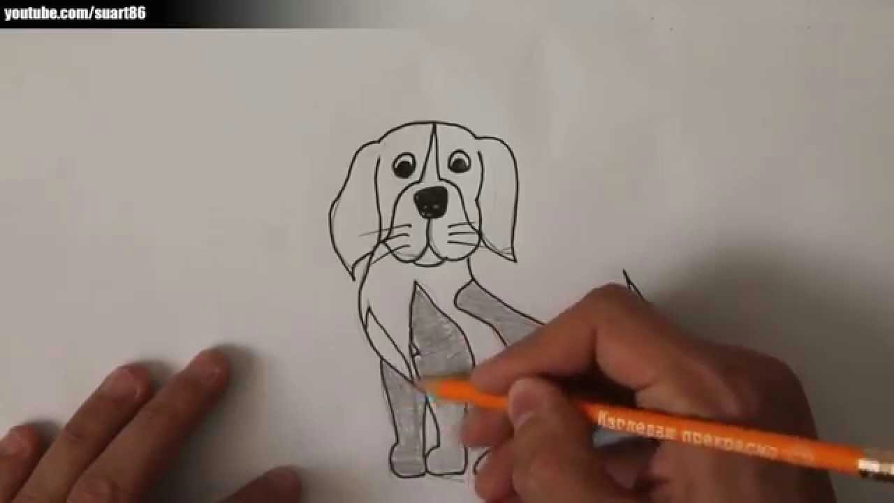 Drawing Dogs Eyes Youtube Kako Nacrtati Psa Youtube