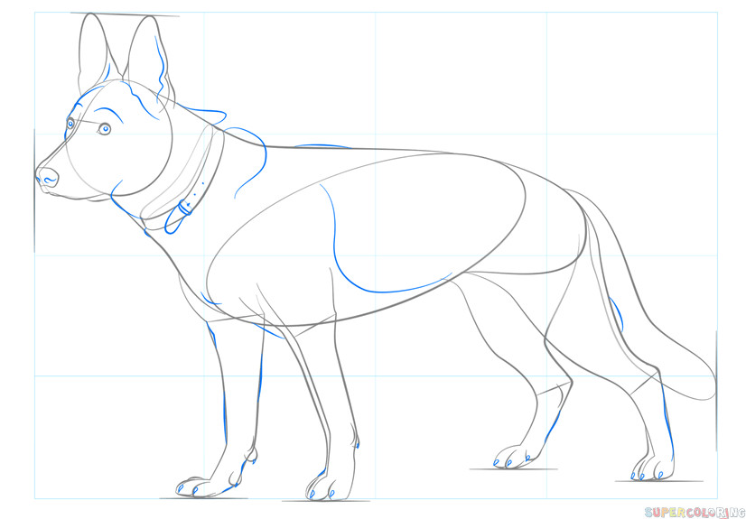 Drawing Dogs for Dummies How to Draw A German Shepherd Dog Step by Step Drawing Tutorials