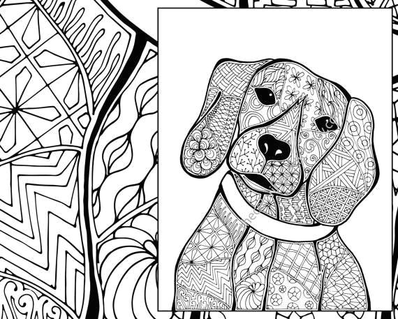 Drawing Dogs Hair Beagle Coloring Pages Luxury Hair Coloring Page Lovely Hair Coloring