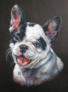 Drawing Dogs In Colored Pencil 121 Best Colored Pencil Animal Dog Images Color Pencil Art