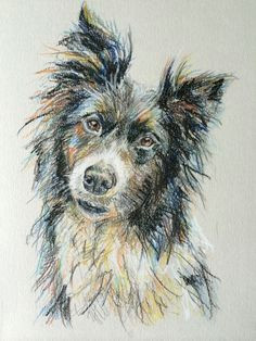 Drawing Dogs In Pastel 30 Best Oil and Pastel Images On Pinterest In 2018 Drawing S