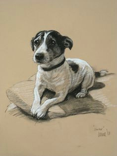 Drawing Dogs In Pastel 40 Best Dogs Sketches Images Art Drawings Dog Paintings Pencil