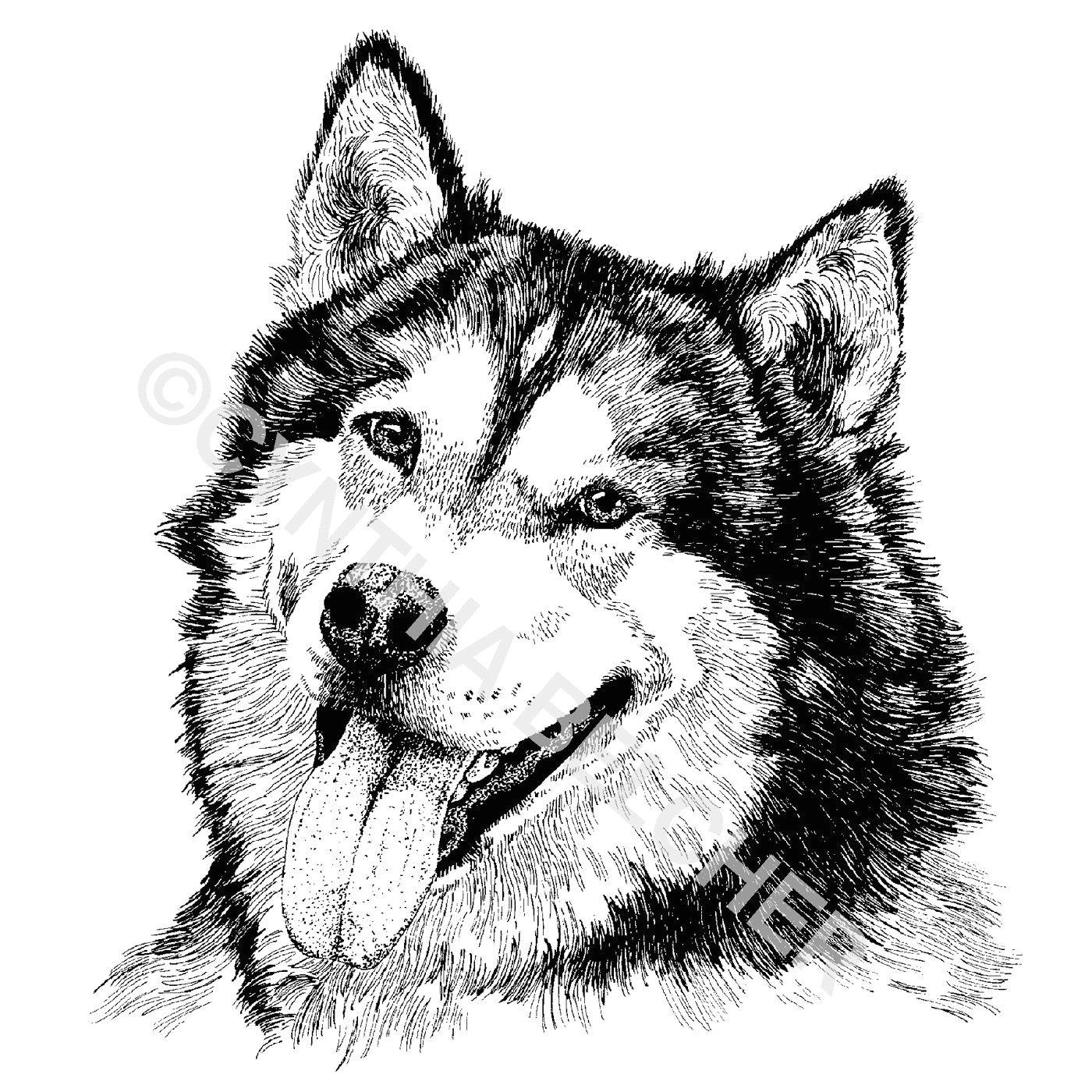 Drawing Dogs In Pen and Ink 123 Best Pen and Ink Drawings Images Pencil Drawings Paintings