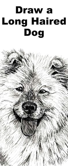 Drawing Dogs In Pen and Ink 491 Best Draw Dogs Images In 2019 Drawings Animal Drawings Draw
