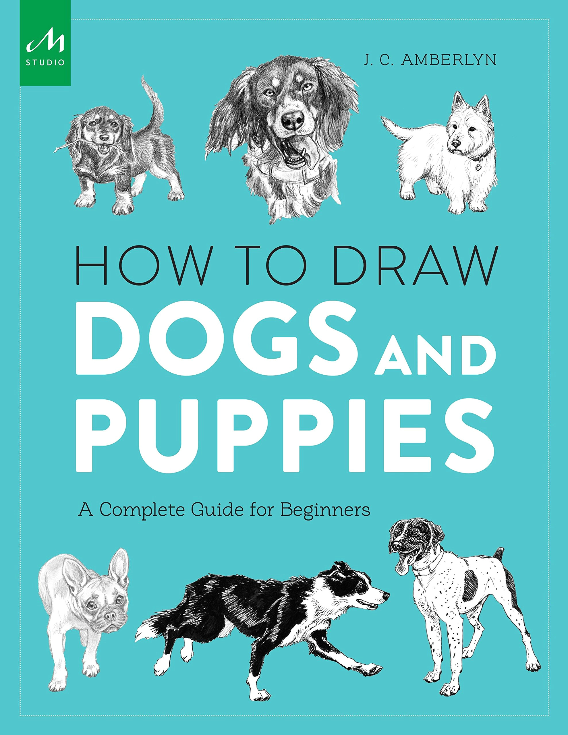 Drawing Dogs Playing Poker How to Draw Dogs and Puppies A Complete Guide for Beginners J C