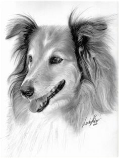 Drawing Dogs Realistic 101 Best Drawings Of Dogs Images Pencil Drawings Pencil Art