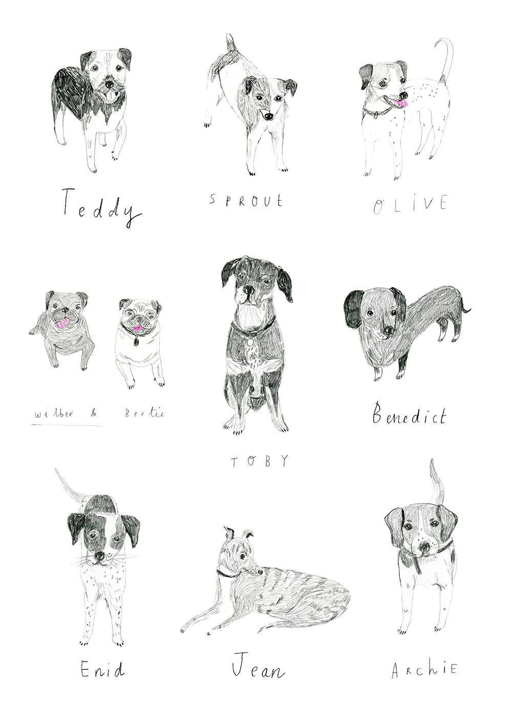 Drawing Dogs Simple Pin by Girl Scout On Illustrate In 2019 Drawings Illustration