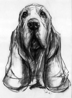 Drawing Dogs with Charcoal 358 Best Dog Art Dog Illustration Images Drawings Dog Art Dog
