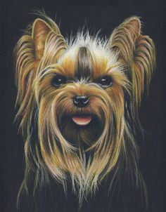 Drawing Dogs with Colored Pencils 65 Best Colored Pencil Dogs I Love Images Drawings Animal