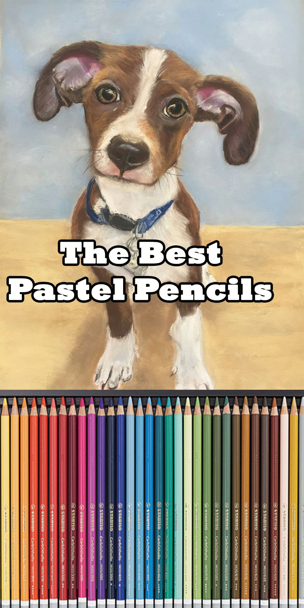 Drawing Dogs with Pastel Pencils I Ve Tried Out A Lot Of Different Pastel Pencils and Here S What I