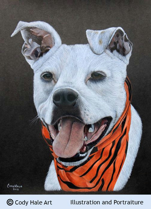 Drawing Dogs with Pastel Pencils Pet Portrait Colored Pencil Cody Hale Art Dog Art Pinterest