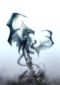 Drawing Dragons and Those who Hunt them 100 Best Dragon Reference Images Monsters Dragons Fantasy Art