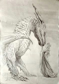 Drawing Dragons and Those who Hunt them Madpatti Dragons Dragon Dragon Art Drawings