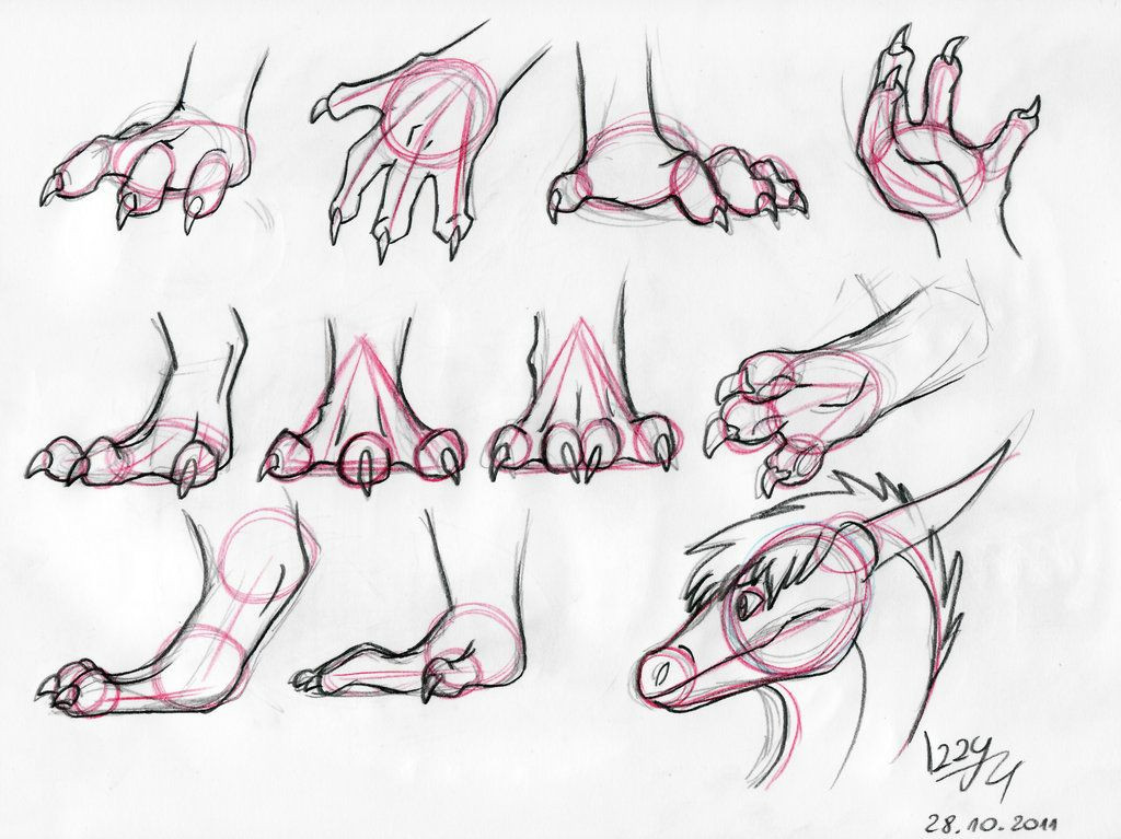 Drawing Dragons for Beginners Dragon Hands and Feet Tutorial by Izzyreddragon On Deviantart