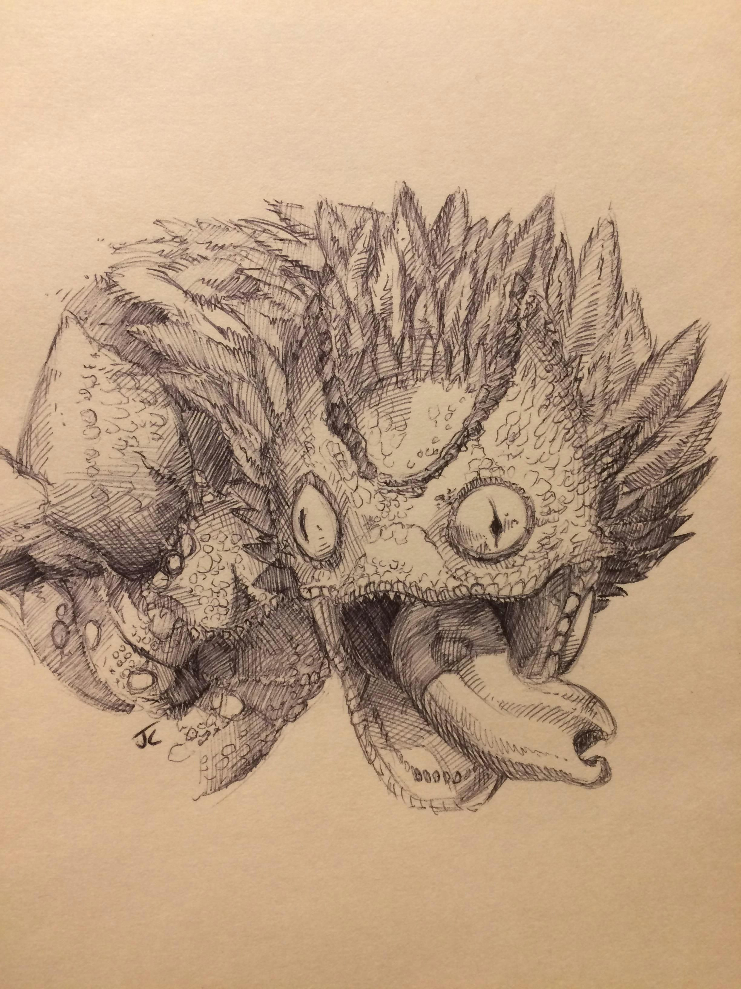 Drawing Dragons Reddit Pukei Pukei Sketch by Jbob1390 On Reddit Witch Hunter Monster