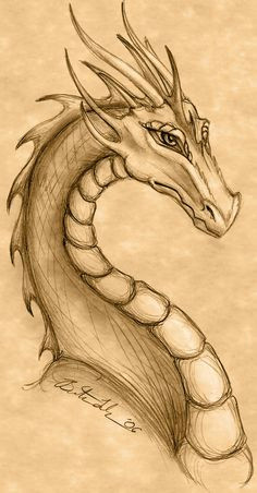 Drawing Dragons Sandra Staple 968 Best Dragon Drawings Images Mandalas Coloring Books