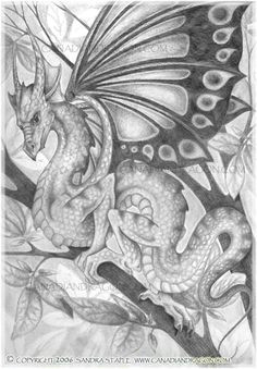 Drawing Dragons Sandra Staple Pdf 188 Best Dragons Images Drawings Faeries Fantasy Creatures