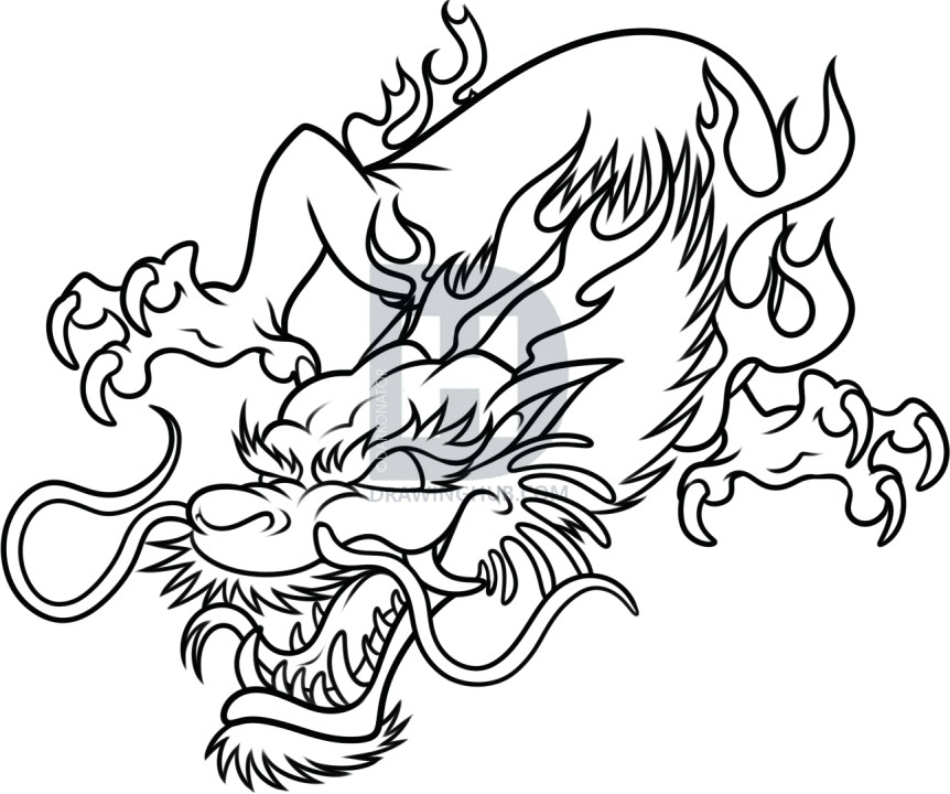 Drawing Dragons Step by Step 18 Best Simple Drawing Of Dragon Tattoo Images Easy Drawings