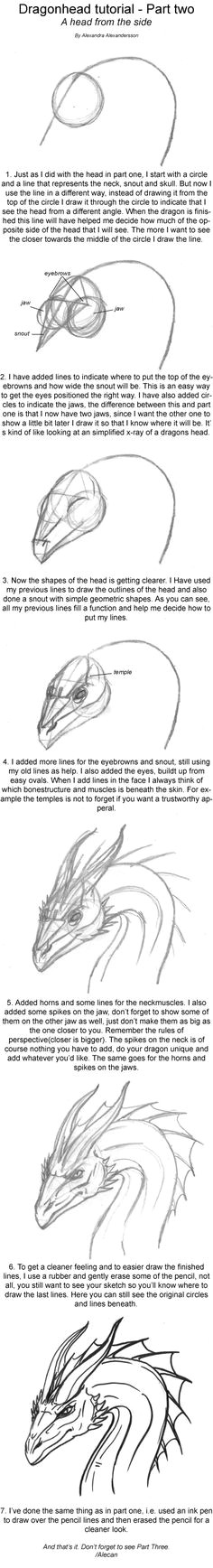 Drawing Dragons Tutorial 85 Best Drawing Dragons Tutorials Images Drawings Sketches Dragons