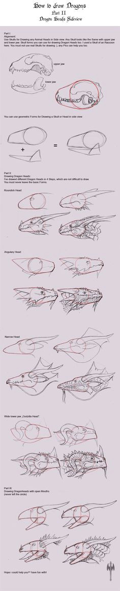 Drawing Dragons Tutorial 85 Best Drawing Dragons Tutorials Images Drawings Sketches Dragons