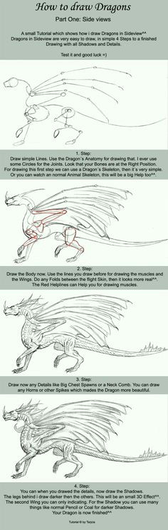 Drawing Dragons Tutorial 85 Best Drawing Dragons Tutorials Images Drawings Sketches Dragons