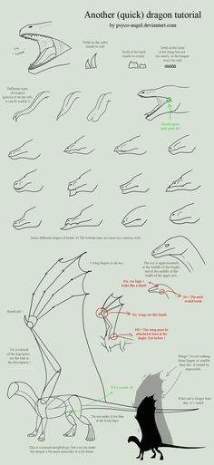 Drawing Dragons Tutorial 85 Best Drawing Dragons Tutorials Images Drawings Sketches Dragons