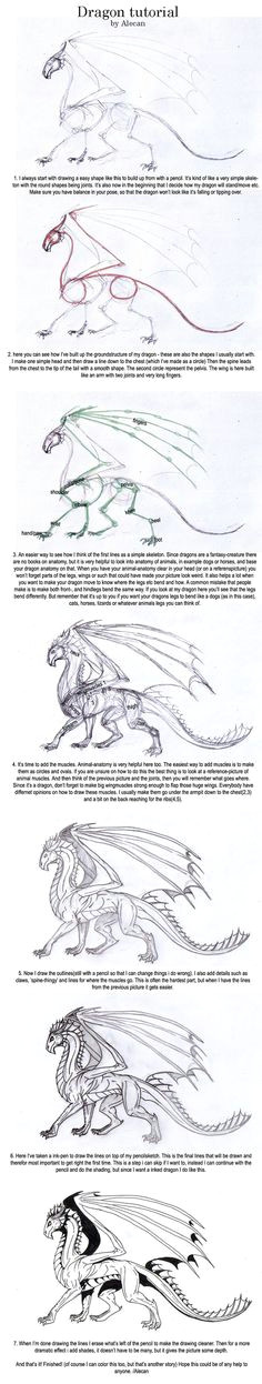 Drawing Dragons Tutorial 85 Best Drawing Dragons Tutorials Images