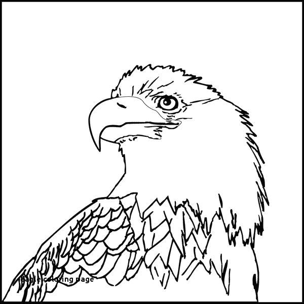 Drawing Eagle Eyes Bald Eagle Coloring Page Elegant Unique Coloring Pages Lovely Cool