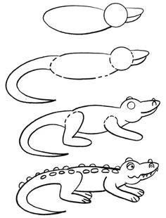 Drawing Easy Alligator 16 Best Alligator Illustrations Images Crocodiles Children S Book