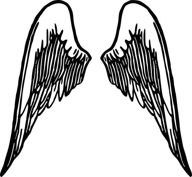 Drawing Easy Angel Wings Free Image On Pixabay Wings Angel Feather Winged Wings