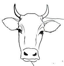 Drawing Easy Cow 35 Best Sketch Images In 2019 Watercolour Paintings Art Drawings