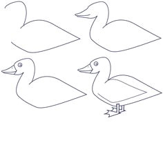 Drawing Easy Duck 23 Best Drawing Images Drawing Techniques Learn Drawing Learn to