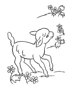 Drawing Easy Farm Animals 225 Best Farm Animals Drawing Ideas Images Appliques Embroidery