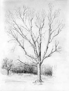 Drawing Easy forest 156 Best Drawing Trees Images In 2019 Drawing Trees Tree Drawings