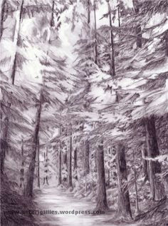 Drawing Easy forest 38 Best forest Images