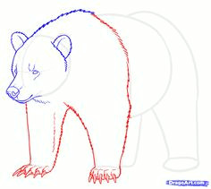 Drawing Easy Grizzly Bear 96 Best How to Draw Bears Images Bear Drawing Learn Drawing Bear